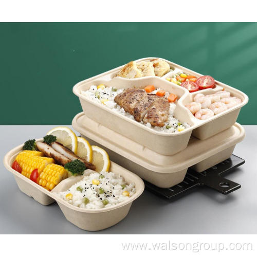 100% Compostable Sugarcane pulp Lunch Box